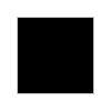 Peinture noire H2