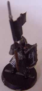 Porte-étendard